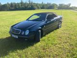Mercedes-Benz CLK 320 Cabrio Sport nur 81t... - Mercedes-Benz CLK 320 aus 1999: Cabrio