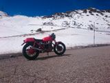 Moto Guzzi V65 Cafe Racer - MOTO GUZZI V 65
