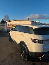 Rover Range Rover Evoque - gebrauchte Rover SUV & Geländewagen