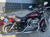 Harley-Davidson Sportster 883 Super Low - CHOPPER VON 751 BIS 1000 CCM