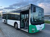 MAN A21*LIONS CITY*EEV/EURO5*35-SITZE*KLIMA*TÜV*AHK* - MAN Lions city