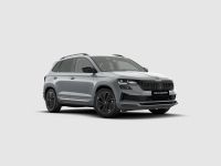 Skoda Karoq - Vorschau Bild 2