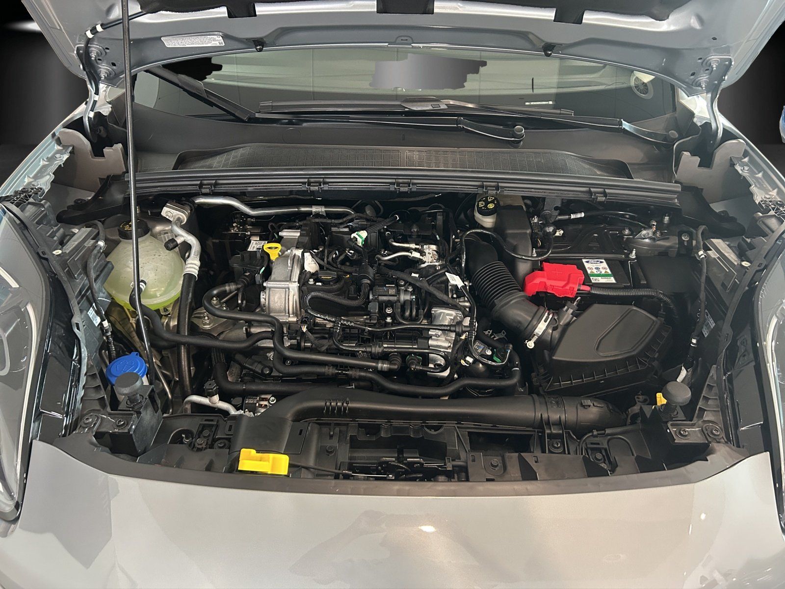 Fahrzeugabbildung Ford Puma Titanium 1,0 Ecoboost MHEV