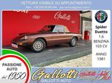 Alfa Romeo Spider (Duetto) 1.6 103 cv benz. - Alfa Romeo aus 1981