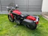 Harley-Davidson XL 1200 CA Sportster Custom - HARLEY-DAVIDSON 2012 SPORTSTER
