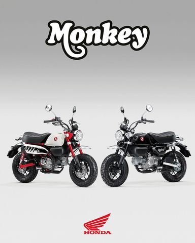 Honda Z125 Monkey 2025 "Vorbestellen"