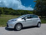 Ford Fiesta 1,25 60kW Trend Trend - Ford Fiesta aus 2010: 1.6
