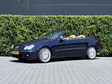 Mercedes-Benz CLK 200 Cabrio K. Avantgarde, NL AUTO, NAP LOGIS - gebrauchte Mercedes-Benz CLK 200 aus dem Jahr 2007