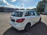 Mercedes-Benz B 200 d DCT 4Matic Urban Edition - Mercedes-Benz B-Klasse: Taxi