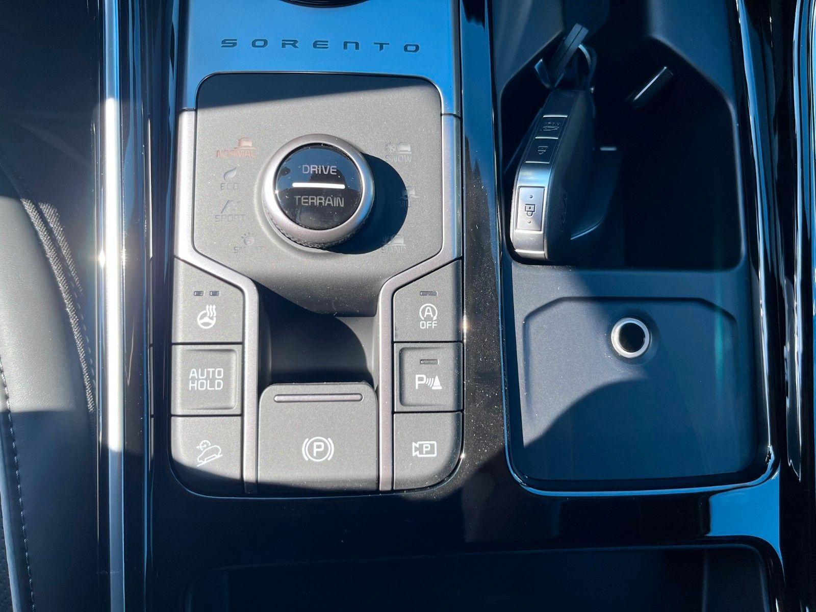 Fahrzeugabbildung Kia Sorento Platinum 4WD 7-Sitzer Pano Leder uvm.
