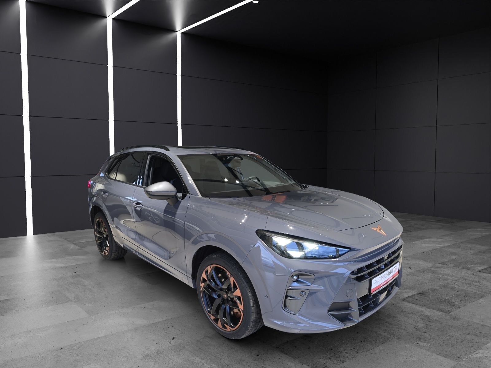 Fahrzeugabbildung CUPRA Terramar 2.0 TSI DSG 4Drive America's Cup Limite