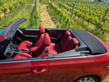 Volkswagen Golf 1.6 TDI Cabriolet sunset red I Leder I Navi - Volkswagen Golf mit Diesel-Antrieb: Cabrio, 1.6