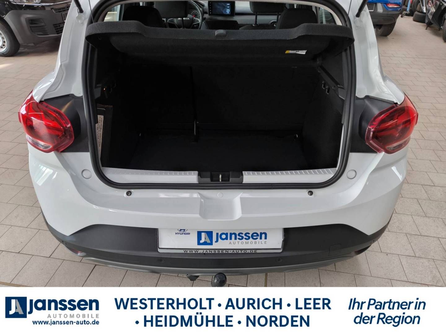 Fahrzeugabbildung Dacia Sandero Stepway Expression TCe 100 ECO-G