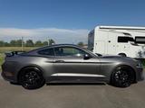 Ford Mustang 5.0 GT Fastback V8 - Ford Mustang Gebrauchtwagen in Berlin