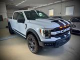 Ford F 150/5.0/V8/4X4/Raptor/ - Ford F 150 mit Benzin-Antrieb: Geländewagen