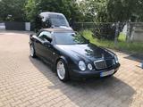 Mercedes-Benz CLK 320i AMG PAKET/ XENON/ Sammlerzustand/ - Mercedes-Benz CLK AMG Paket