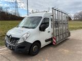 Renault Master Glastranporter mit Innen un... - Renault Master von privat