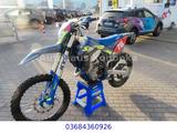 Sherco 300 SEF Factory Hamish Edition 19BH - SHERCO MOTORRAD
