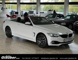 BMW 435d Cabrio/xDrive/Sportautomatik/Xenon/2.Hand - BMW 435: Cabrio