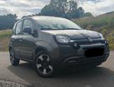 Fiat Panda 1.2 8V CITY CROSS CITY CROSS - Fiat New Panda von privat