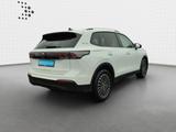 Volkswagen Tiguan 2.0 TDI DSG GOAL*NAVI*AHK*KAMERA*LED+*SHZ - Volkswagen Tiguan Jahreswagen mit Diesel-Antrieb: Automatik
