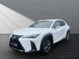 Lexus UX 250h*FSPORT-D.*1.HD*ALLW.REIF** 15J-GARANTIE* - gebrauchte Lexus UX aus dem Jahr 2024