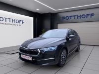 Skoda Octavia - Vorschau Bild 2