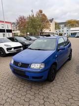 Volkswagen Polo 1.4 44kW Auto Edition Edition - Volkswagen Polo aus 2001: 1.4