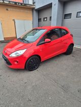 Ford Ka Champions Edition*KLIMA* - Ford Ka/Ka+ aus 2013
