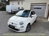 Fiat 500 Star |TOUCH|PANO|CARPLAY|ALU|LEDER|GARANTIE - Fiat 500: Weiß, Leder