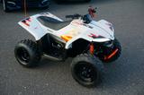 CFMOTO CF Moto CForce EV 110  / ELEKTRO  Kinder Quad - CFMOTO CFORCE 110