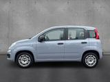 Fiat Panda 1.2 8V Easy Klima Radio DAB GJR USB elFH - gebrauchte Fiat Panda aus dem Jahr 2021