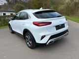 Kia XCeed 1.5 T-GDI Edition7 LED Sitzhz. Tüv NEU - Kia XCeed von privat
