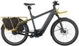 Riese & Müller Multicharger2 GT vario Testbike grey/curry 51 cm - E-Lastenräder
