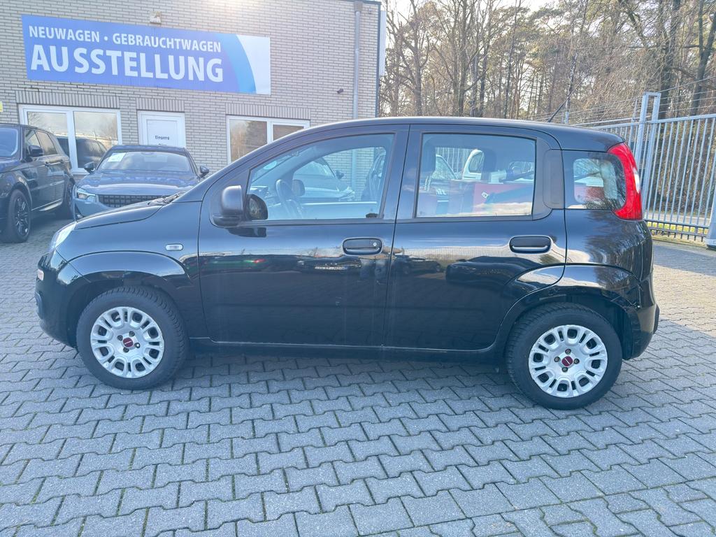 Fiat Panda Pop 12 Klima  Pizzaofen 2020