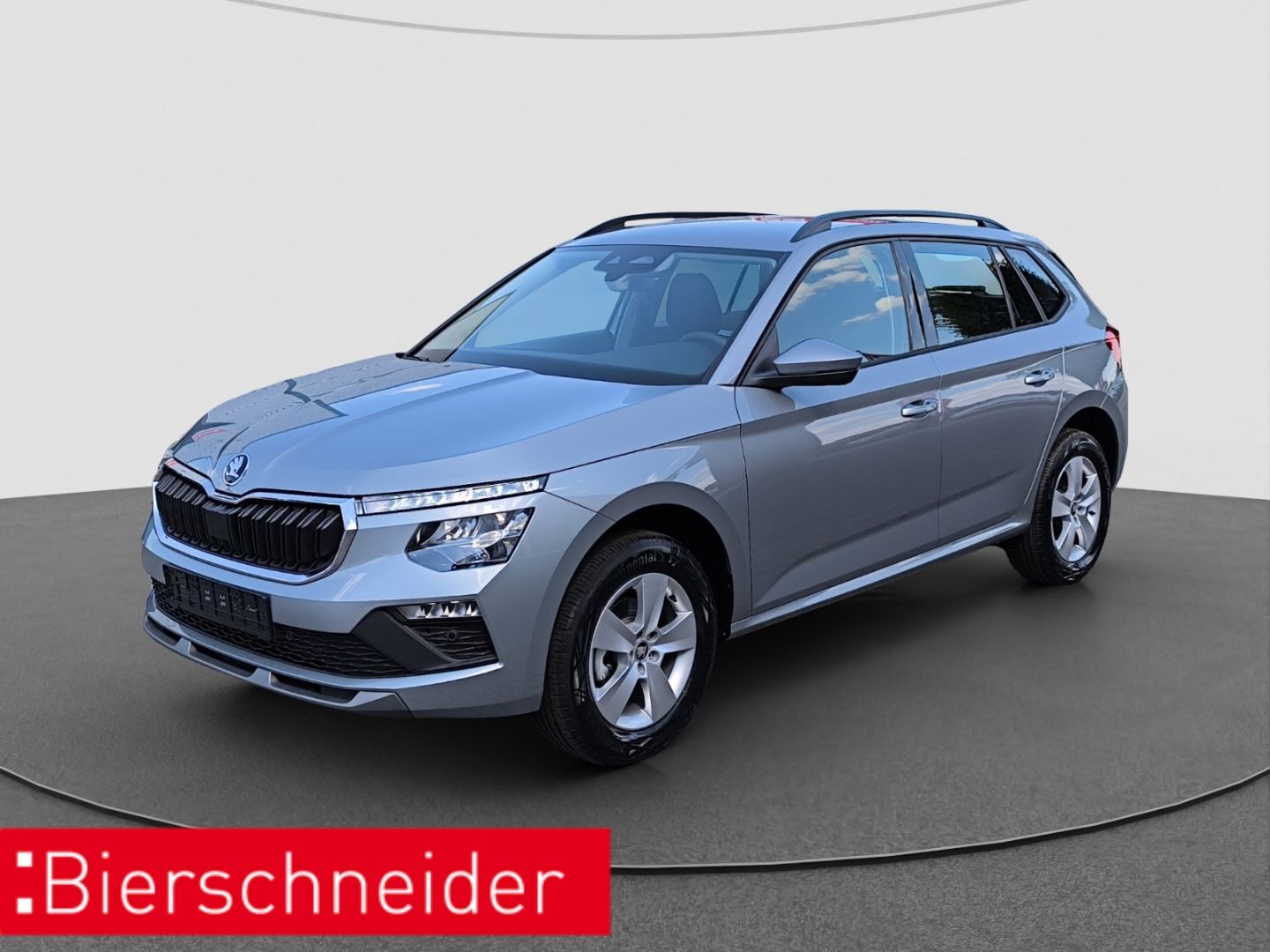 Skoda Kamiq 1.0 TSI DSG Selection 5-J-G LED RFK