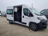 Fiat Ducato 35 Kombi Doka 7-Sitze 2x Schiebetür Maxi  - Fiat Ducato: Kleinbus, 7 Sitzer