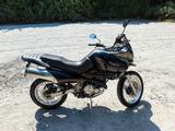 Suzuki XF 650 Freewind - SUZUKI FREEWIND