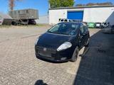 Fiat Punto aus 2ter Hand - Fiat Punto in Kiel