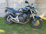 Honda Hornet 600 PC41  Skulls Airbrush - HONDA HORNET 600