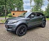 Land Rover Range Rover Evoque Si4 SE BLack Pack Pano 241 PS - Land Rover Range Rover Evoque von privat
