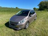 Peugeot 208 1.6 HDi - TÜV NEU - 92 PS - Pa... - Peugeot 208 in Halle