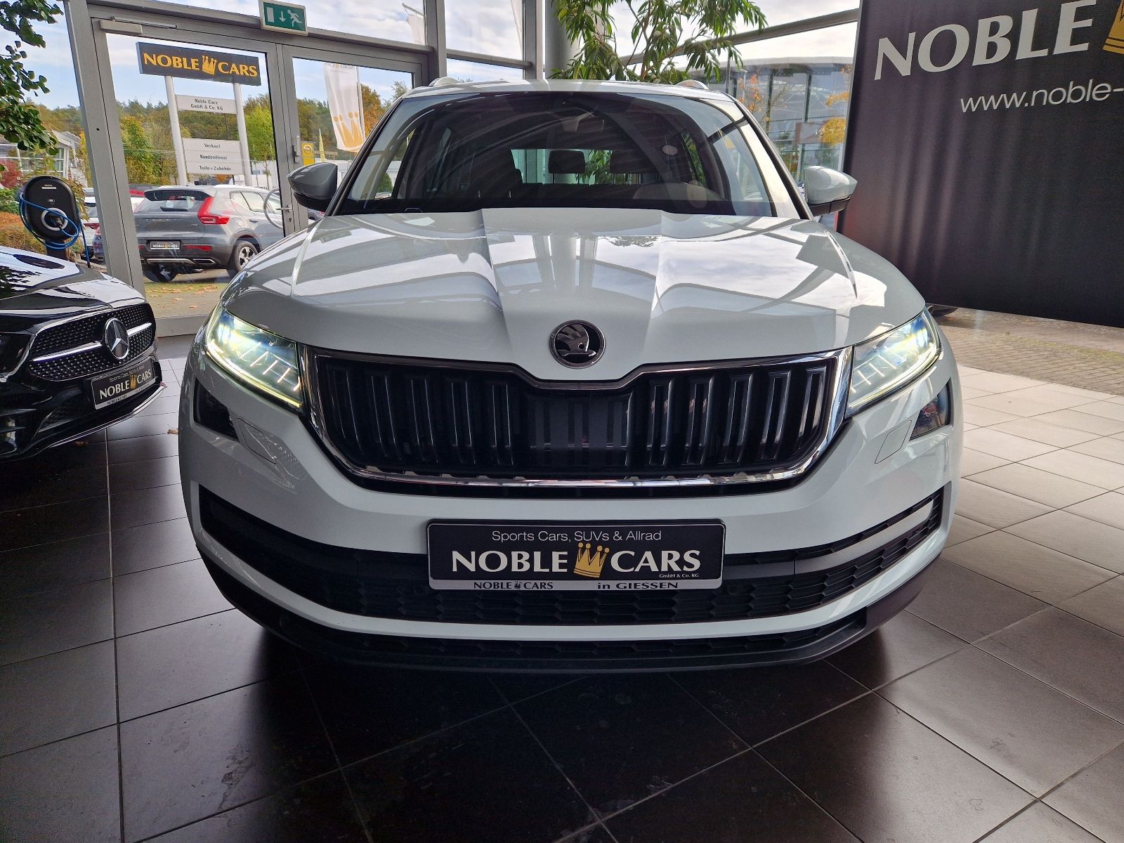 Fahrzeugabbildung SKODA Kodiaq 2.0 TSI 4x4 DSG Style RFK LED NAV SHZ 19"