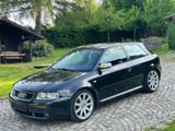 Audi S3 1.8T Quattro 225PS,6Gang,Recaro,Xenon,189tkm! - Audi S3: 8p