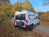 Challenger V217 Vany Fiat Ducato  - Vany