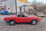 Fiat Andere 850 Cabrio Scheunenfund - Fiat Gebrauchtwagen von 1970