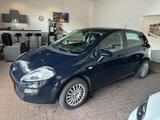 Fiat Punto  1.2 als Sondermodell "Pop" - Fiat Punto Gebrauchtwagen in Krefeld