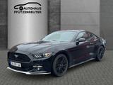 Ford Mustang Basis - Ford Mustang: Limousine
