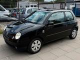 Volkswagen Lupo 1.0 GT * FALTDACH * TÜV NEU - Volkswagen Lupo: Faltdach