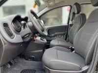 Fiat Panda 1.0 Hybrid Firefly KLIMAANLAGE CITY CRUISE - Image